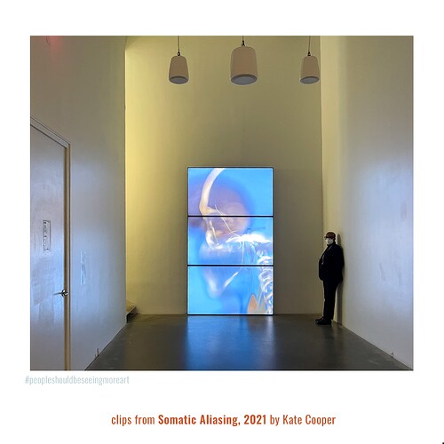 clips from Kate Cooper's Somatic Aliasing, 2021 02