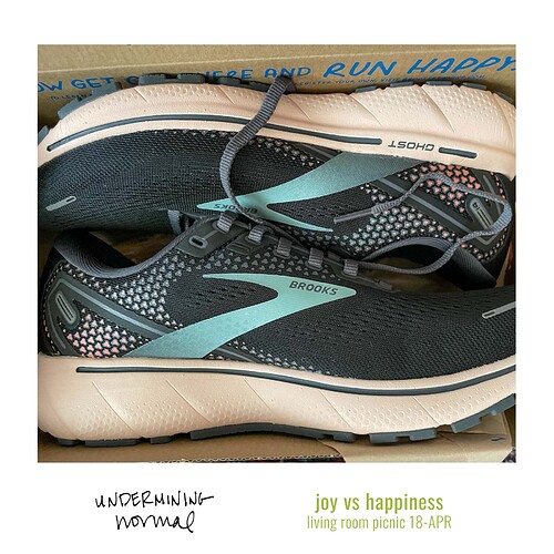 2022-04-18 joy vs happiness UNDERMININGnormal — Instagram Square